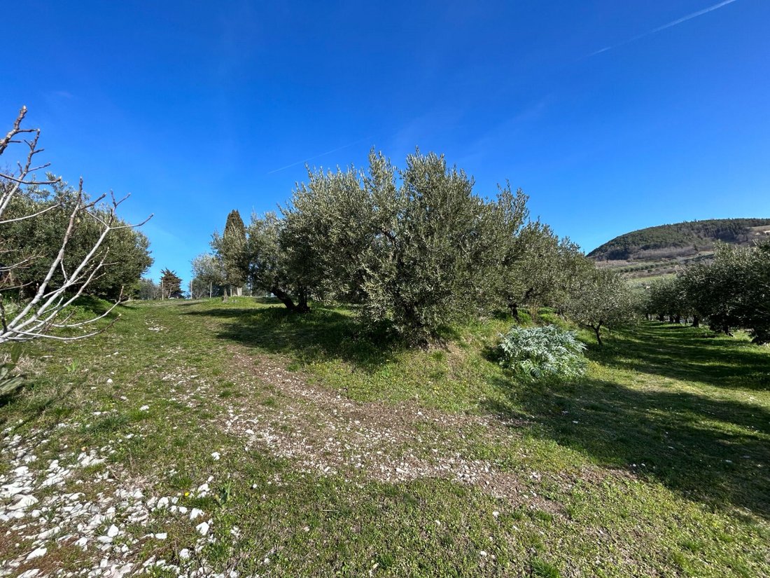 Land in Tregnago, Veneto, Italy 5 - 13918360