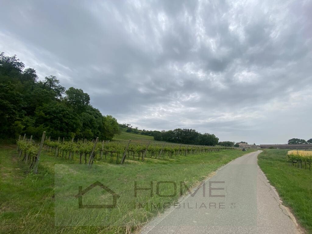 Land in Albettone, Veneto, Italy 4 - 14244095