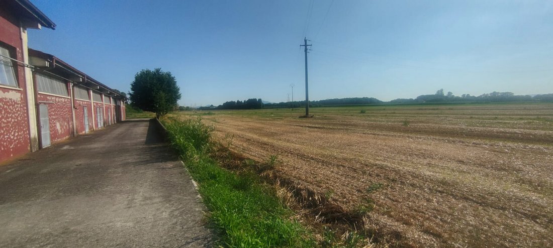 Land in Rubano, Venetien, Italien 3 - 13037477