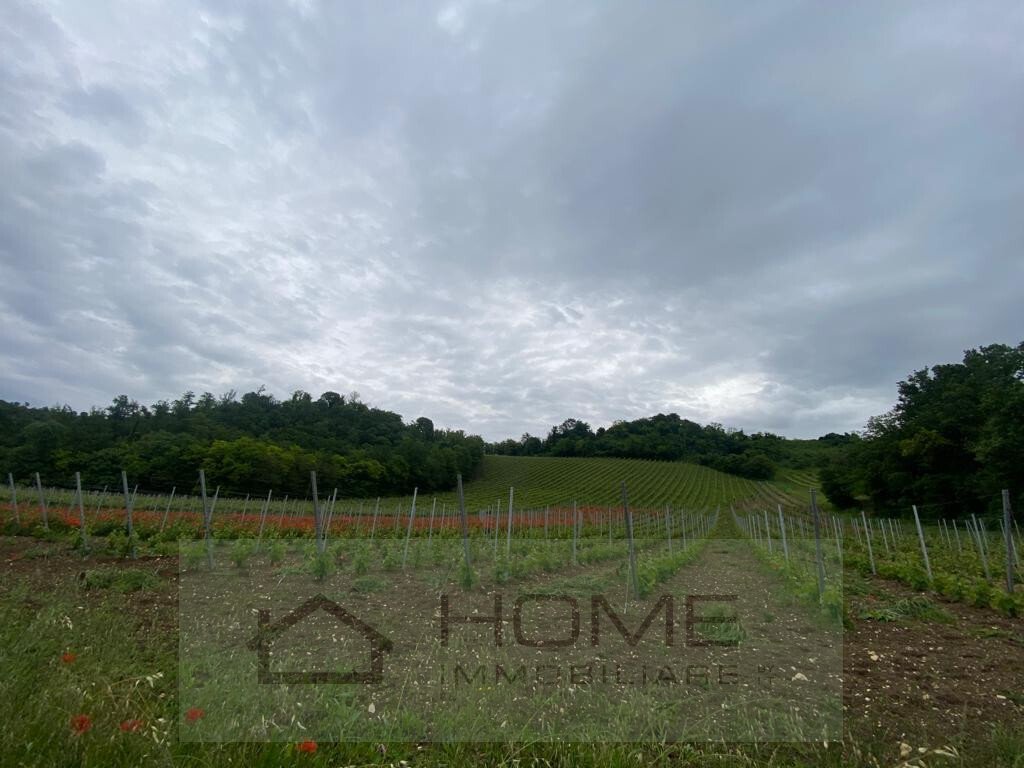 Land in Albettone, Veneto, Italy 1 - 14244095