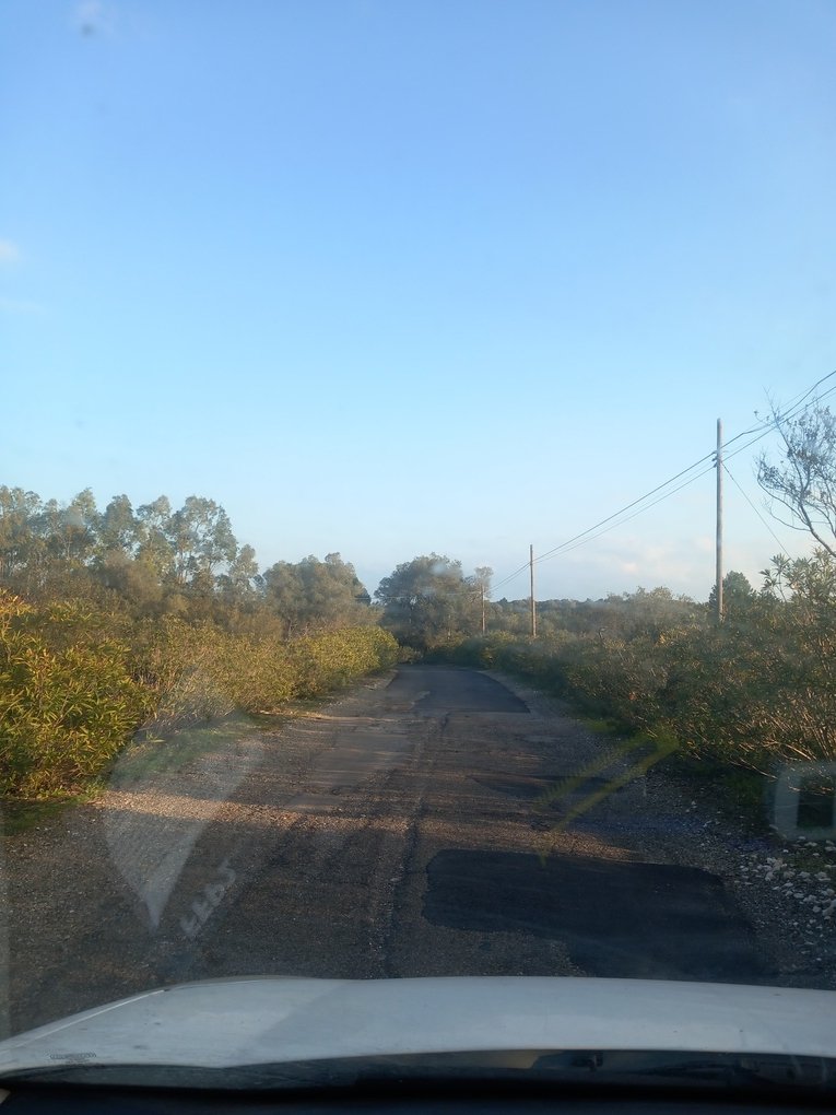 Land in Contrada Guardariello-Giovanni Fasano, Ostuni, Apulia 4 - 12560700