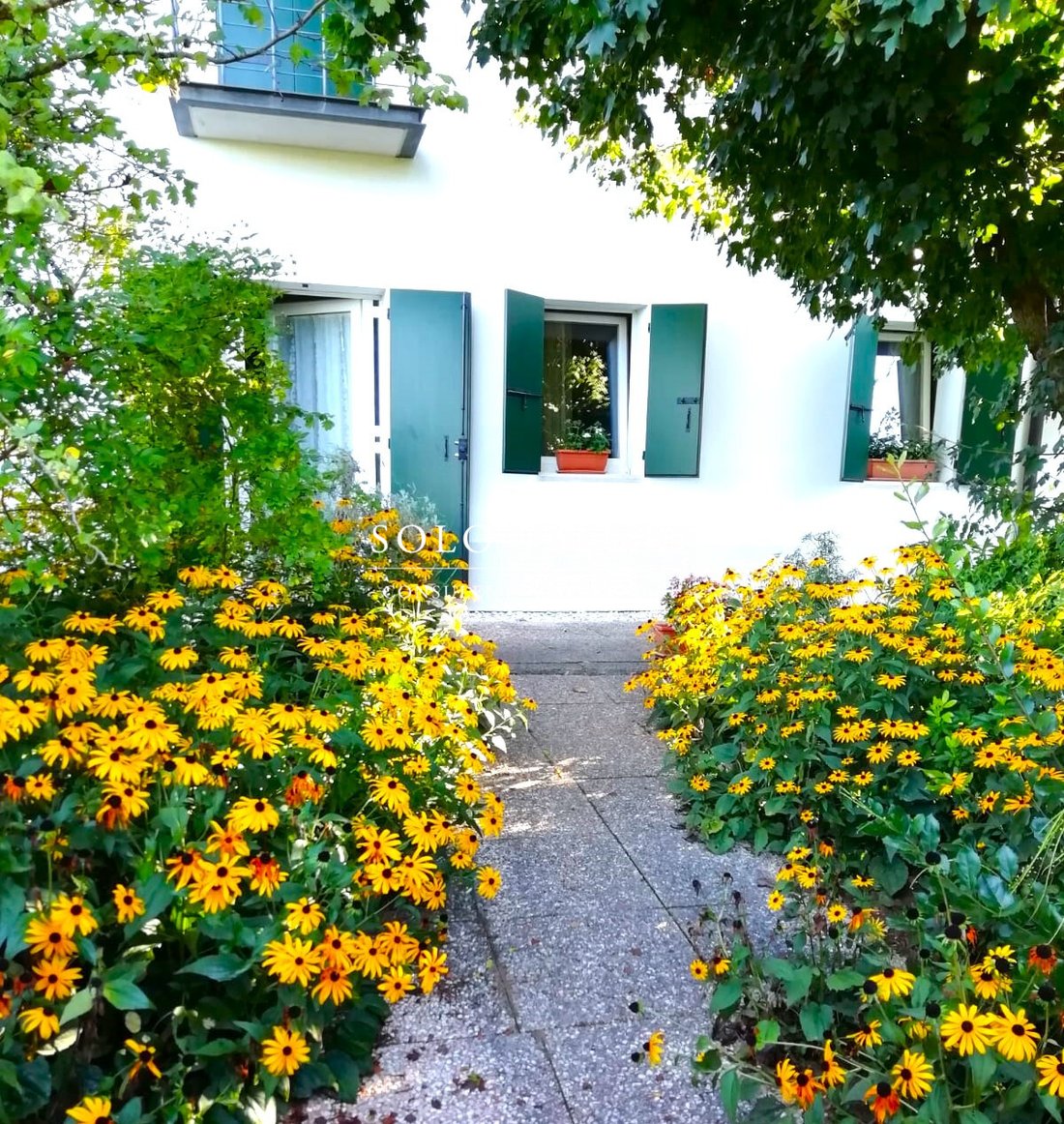 House in Vedelago, Veneto, Italy 4 - 12634948