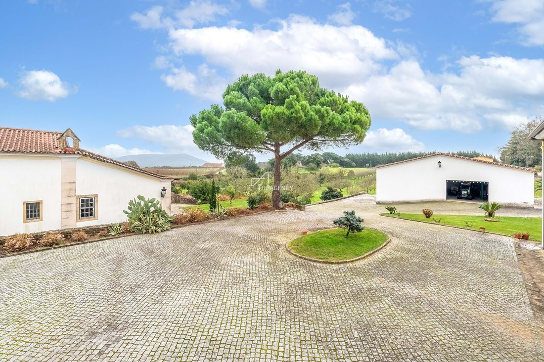 Farm Ranch in Ferreira do Zezere, Santarem District, Portugal 1 - 16022644