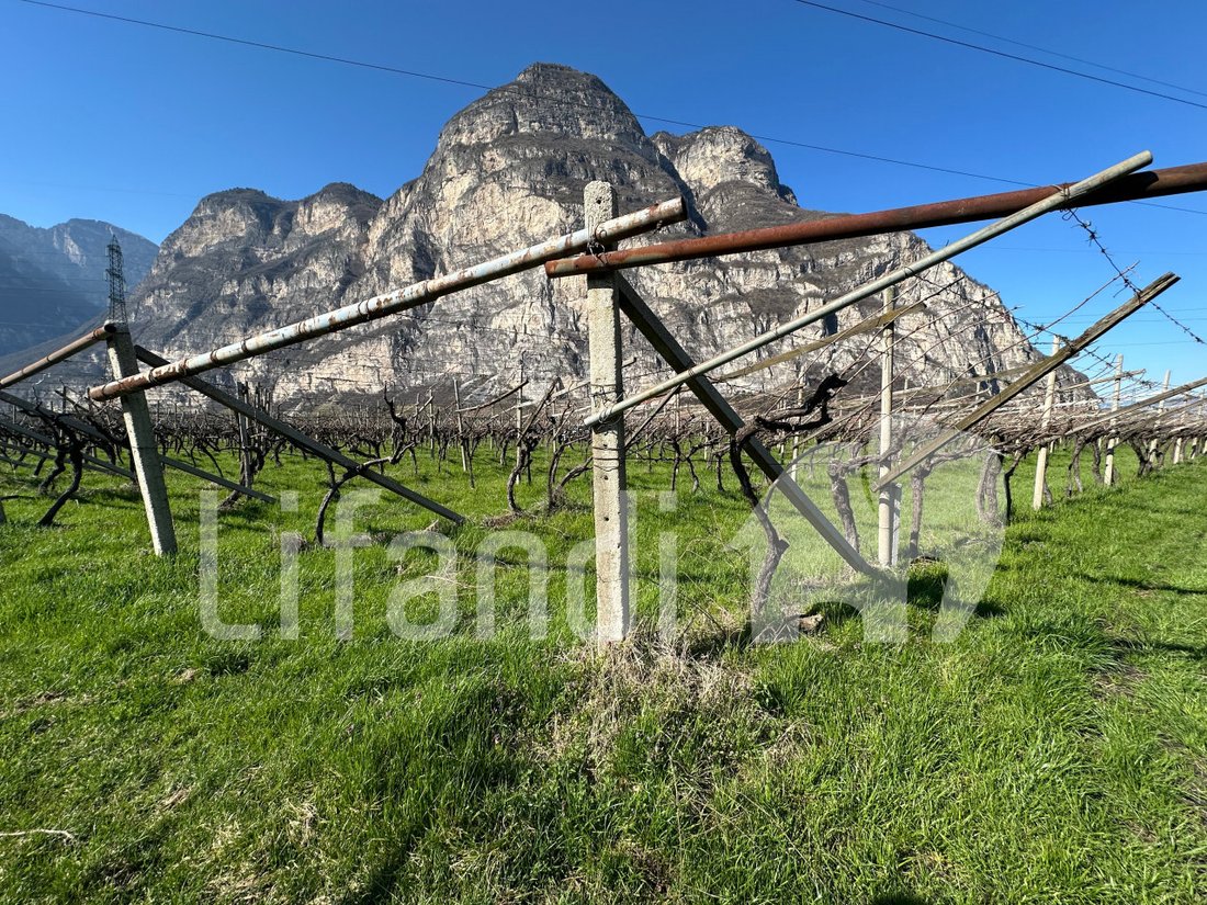 Land in Salorno / Salurn an der Weinstraße, Trentino – Alto Adige/Südtirol, Italy 3 - 15402349