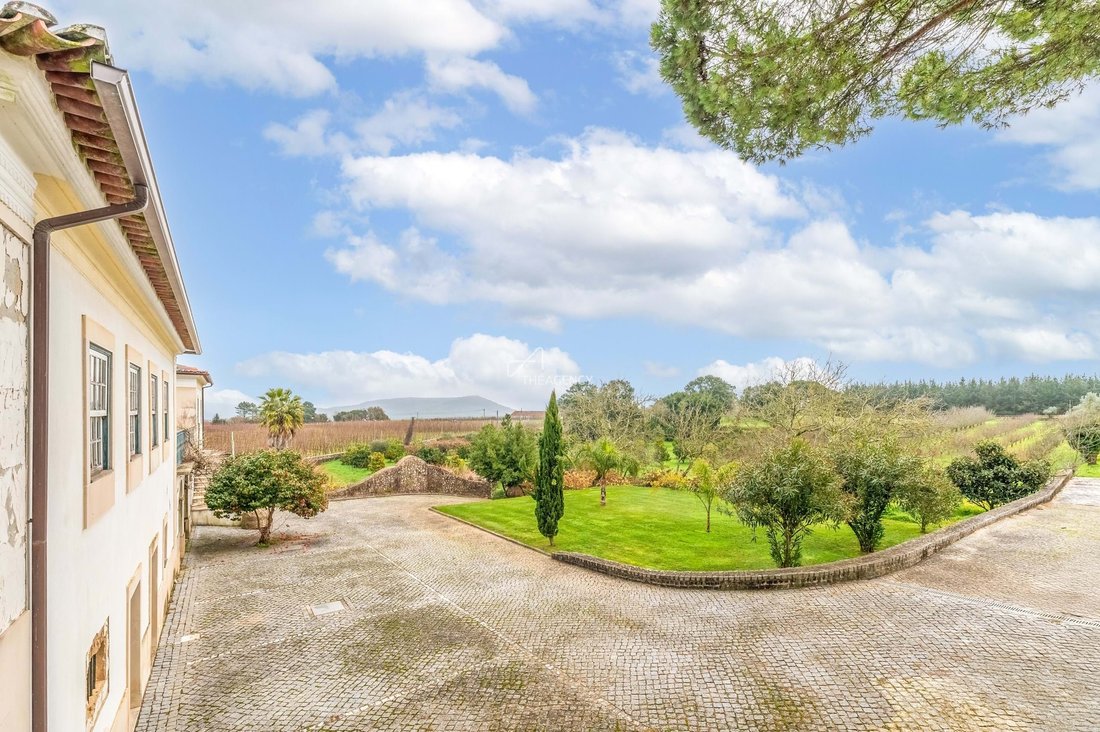 Farm Ranch in Ferreira do Zezere, Santarem District, Portugal 5 - 16022644