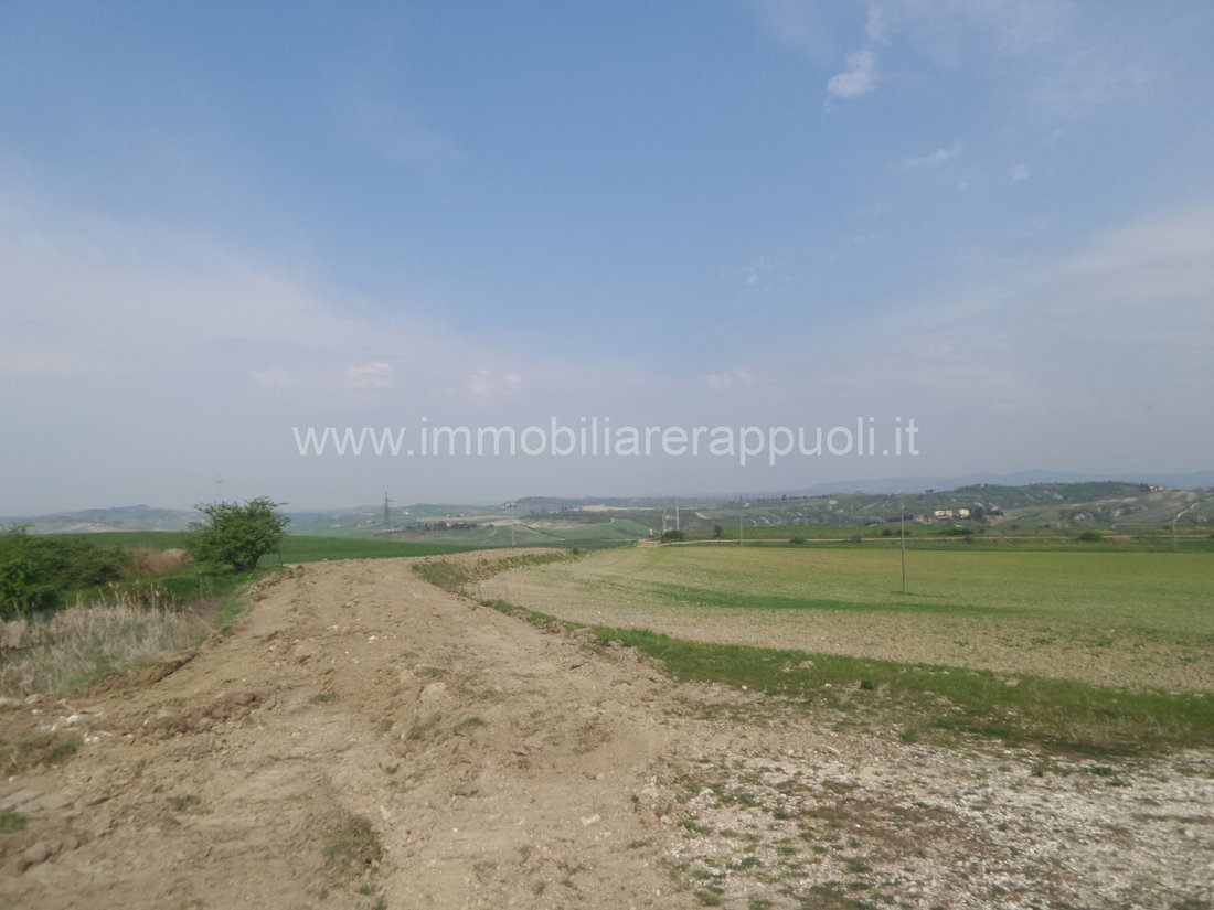 House in Rapolano Terme, Tuscany, Italy 3 - 14448585