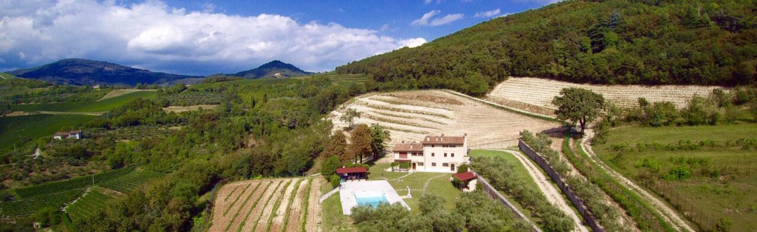 Land in Tregnago, Veneto, Italy 3 - 15968038