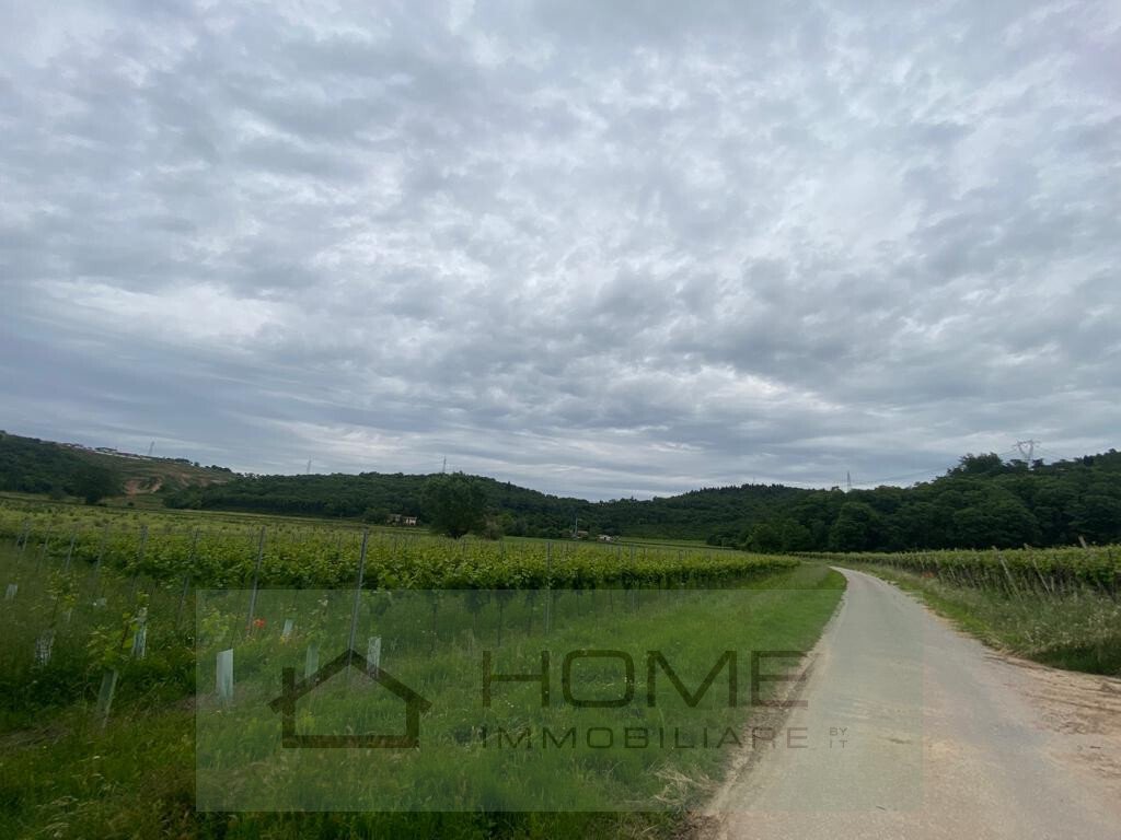 Land in Albettone, Veneto, Italy 2 - 14244095