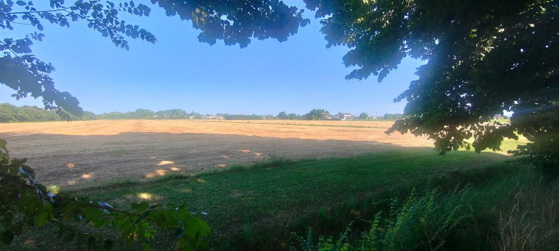 Land in Rubano, Venetien, Italien 1 - 13037477