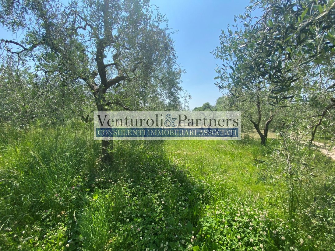 Land in Raffa, Lombardy, Italy 4 - 14014796