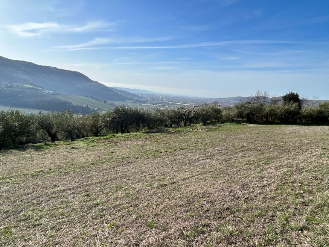 Land in Tregnago, Veneto, Italy 1 - 13918360