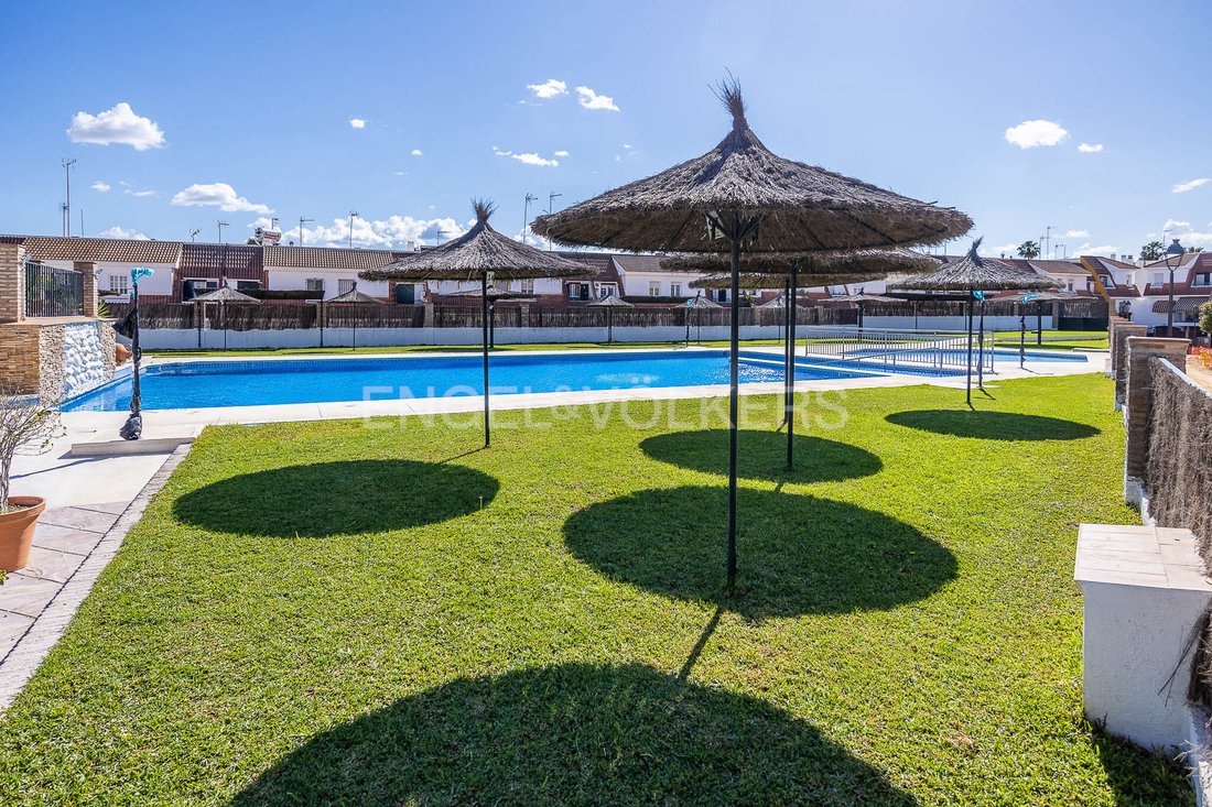 Tomares, Andalusia, Spain 4 - 16023275