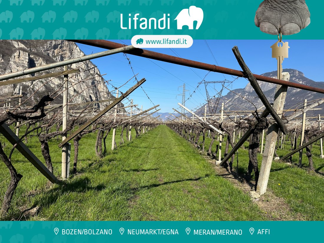 Land in Salorno / Salurn an der Weinstraße, Trentino – Alto Adige/Südtirol, Italy 1 - 15402349