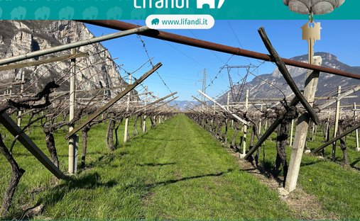 Land in Salorno / Salurn an der Weinstraße, Trentino – Alto Adige/Südtirol, Italy 1