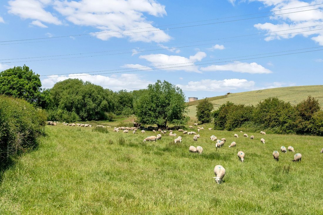 Land in Derbyshire, England 3 - 16022731