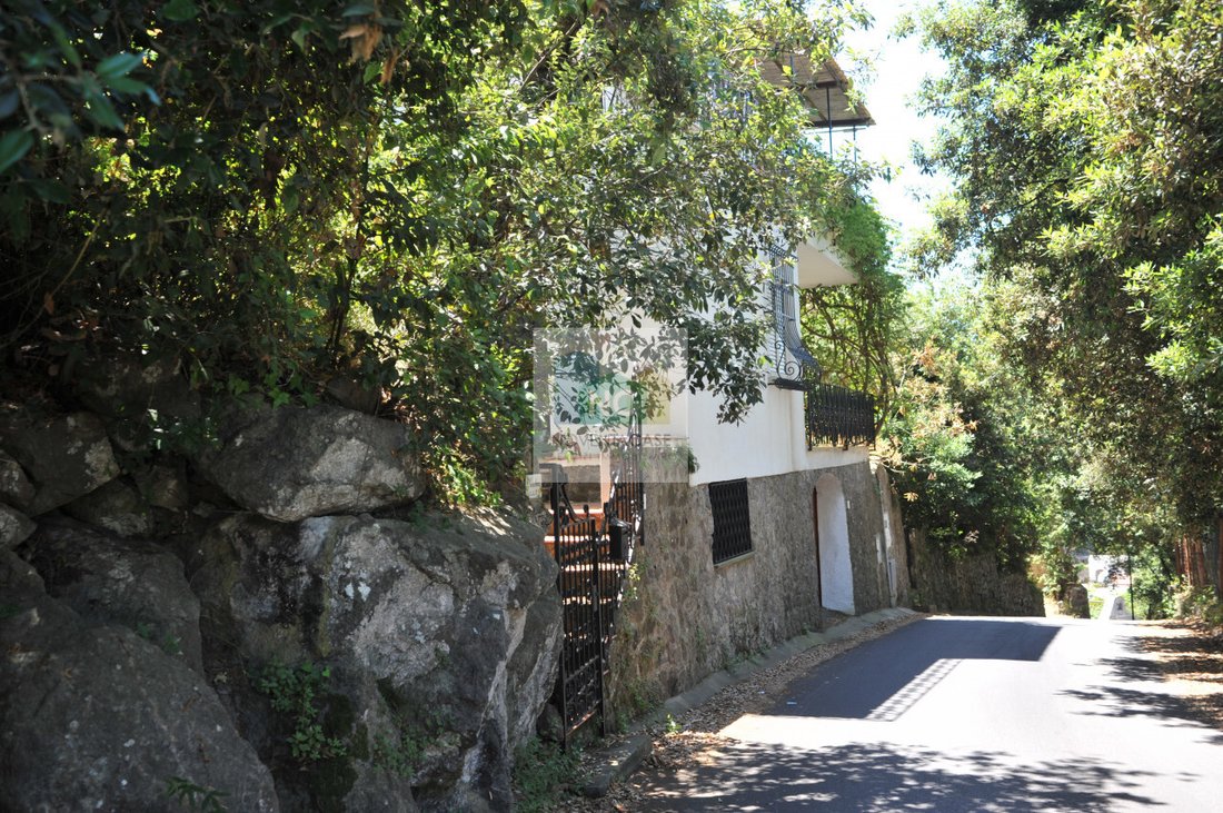 Villa in Forio, Campania, Italy 1 - 15741071