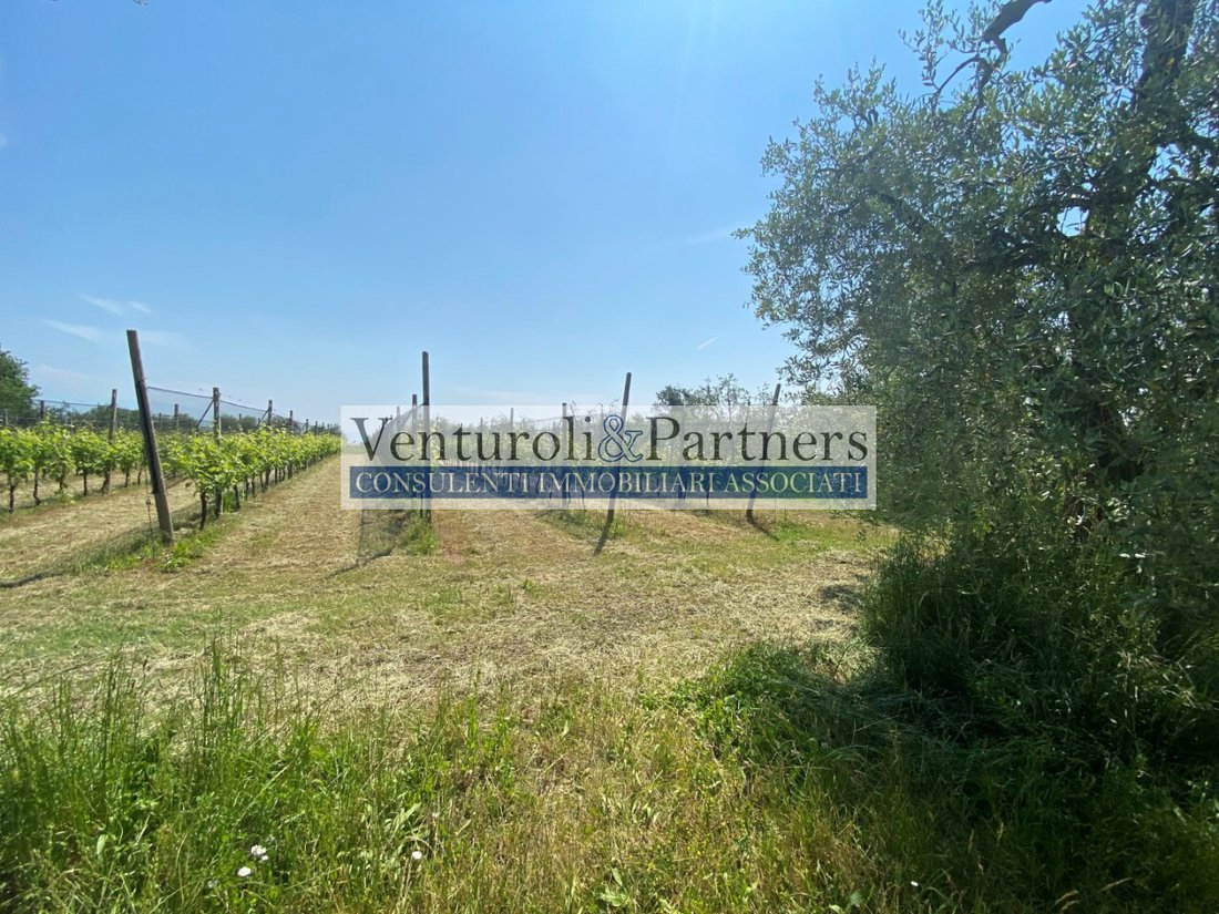 Land in Raffa, Lombardy, Italy 3 - 14014796