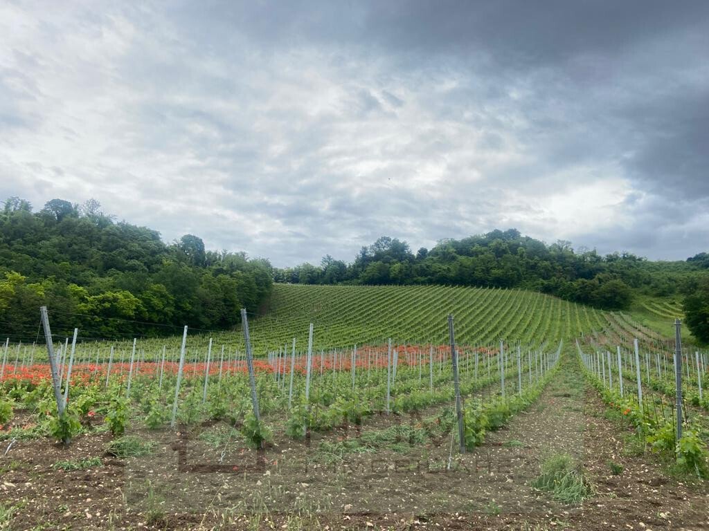 Land in Albettone, Veneto, Italy 5 - 14244095