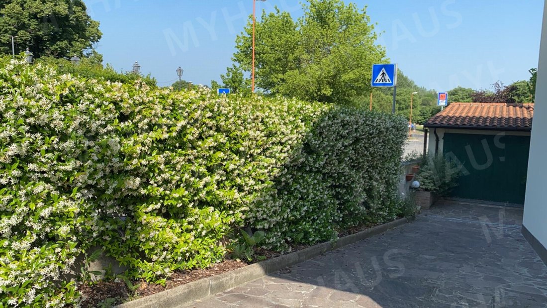 Villa in Saint Mauro in Valle - Torre del Moro, Cesena, Emilia-Romagna 3 - 15785414