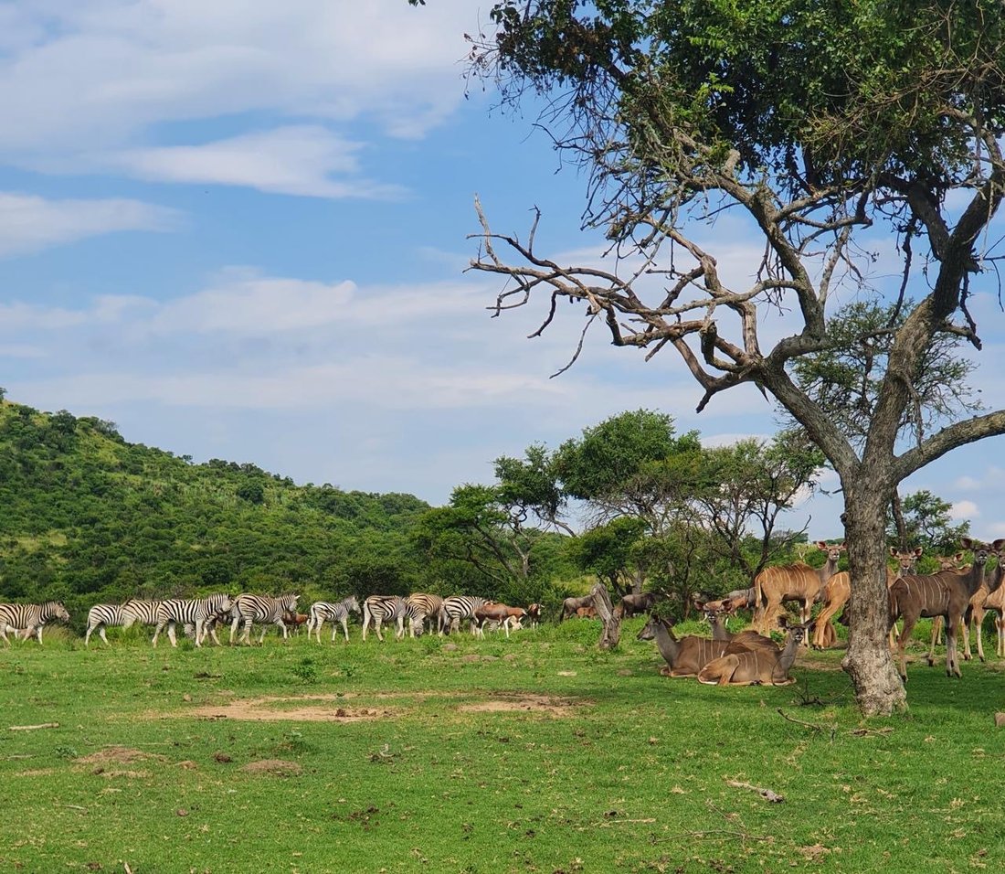 Farm Ranch in Estcourt, KwaZulu-Natal, South Africa 1 - 16022406