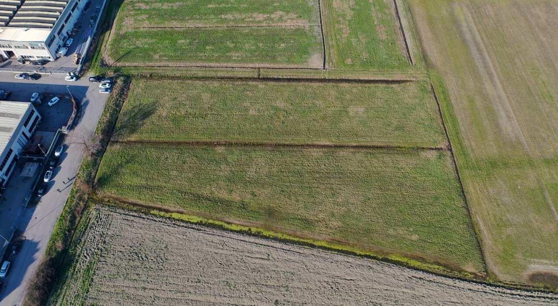 Land in Torrile, Emilia-Romagna, Italy 1 - 15682739