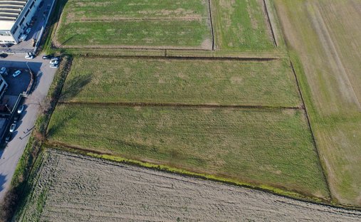 Land in Torrile, Emilia-Romagna, Italien 1