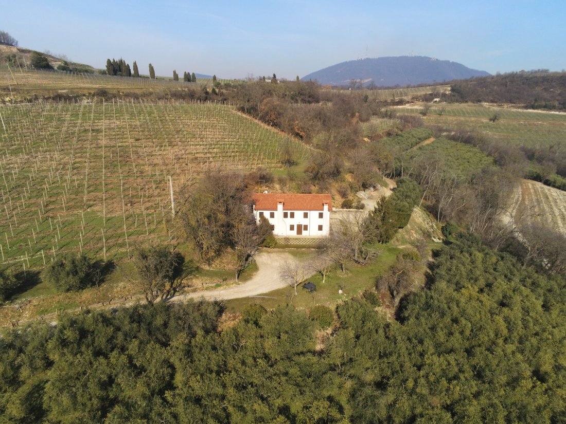 Villa in Cinto Euganeo, Veneto, Italy 1 - 14558009