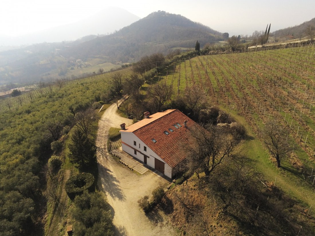 Villa in Cinto Euganeo, Veneto, Italy 3 - 14558009