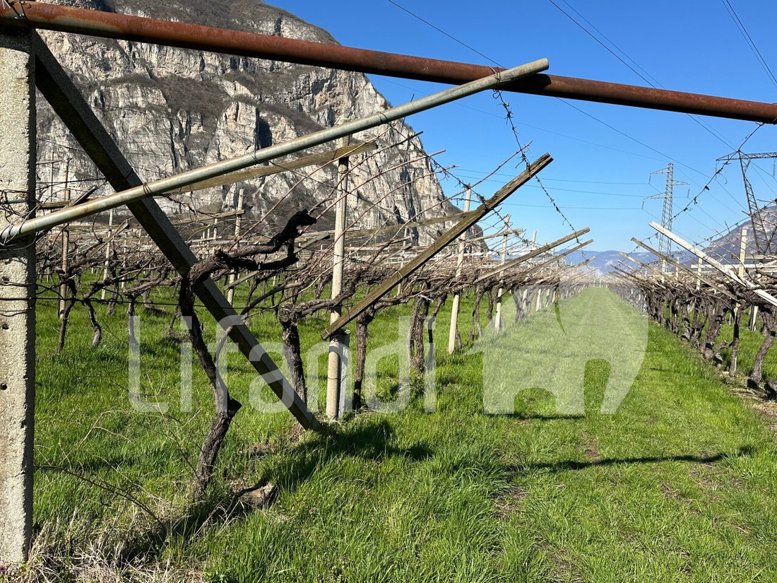 Land in Salorno / Salurn an der Weinstraße, Trentino – Alto Adige/Südtirol, Italy 2 - 15402349