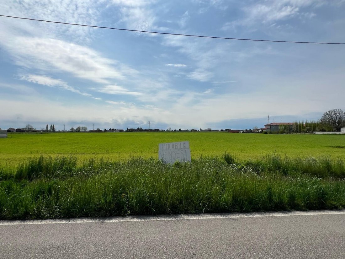 Land in Legnago, Veneto, Italy 2 - 15471966