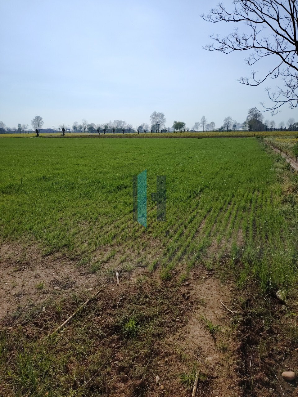 Land in Travagliato, Lombardy, Italy 5 - 15447128