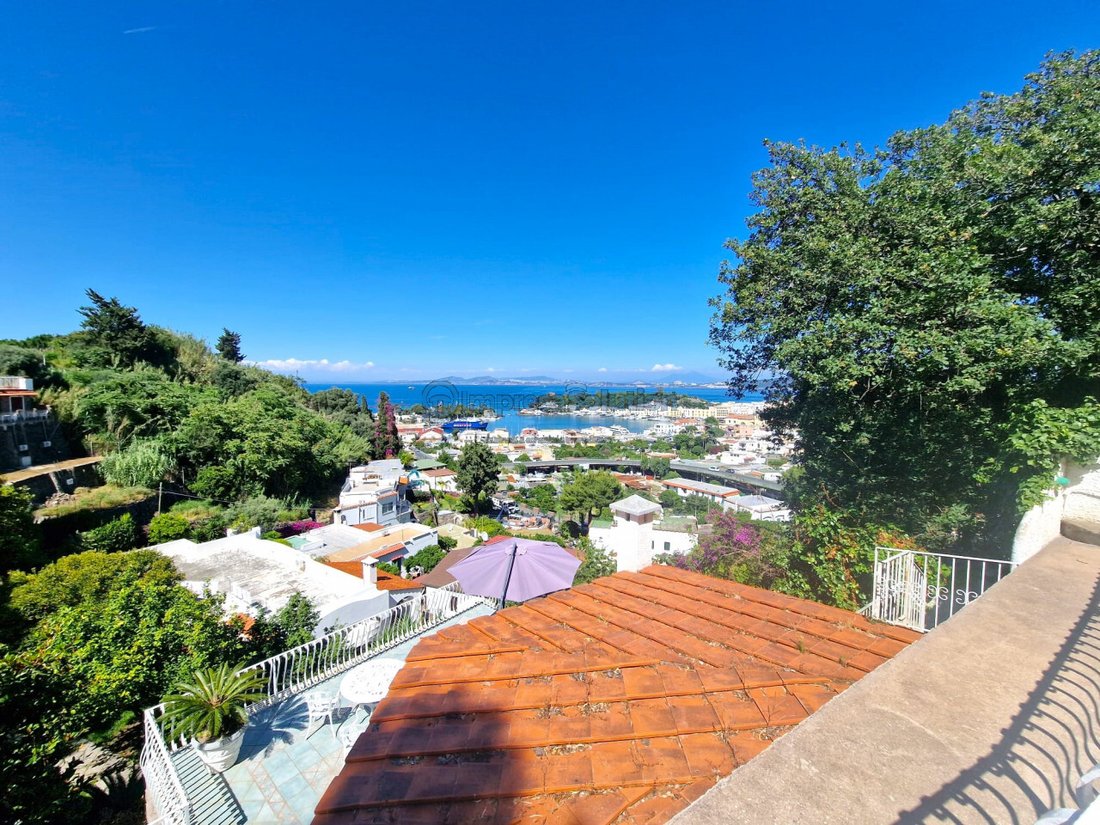 House in Ischia, Campania, Italy 1 - 14403578