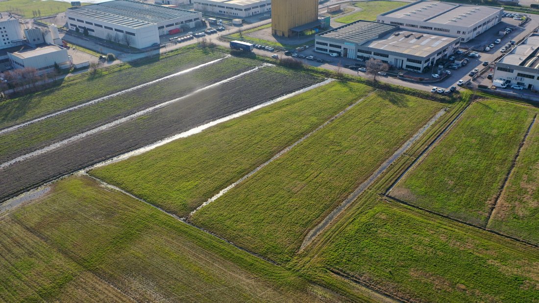 Land in Torrile, Emilia-Romagna, Italy 2 - 15682739