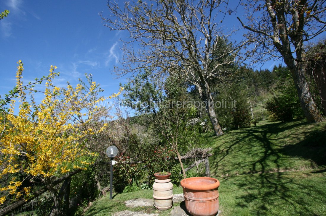 House in Center, Cortona, Tuscany 4 - 14448564
