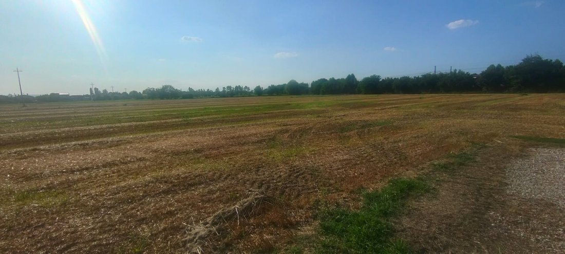 Land in Rubano, Venetien, Italien 2 - 13037477