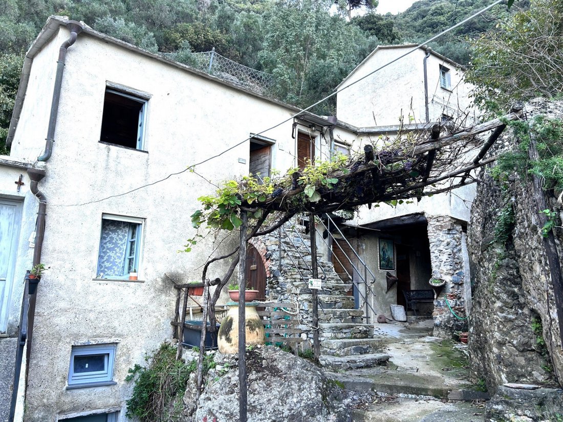 Apartment in Camogli, Liguria, Italy 3 - 15649481
