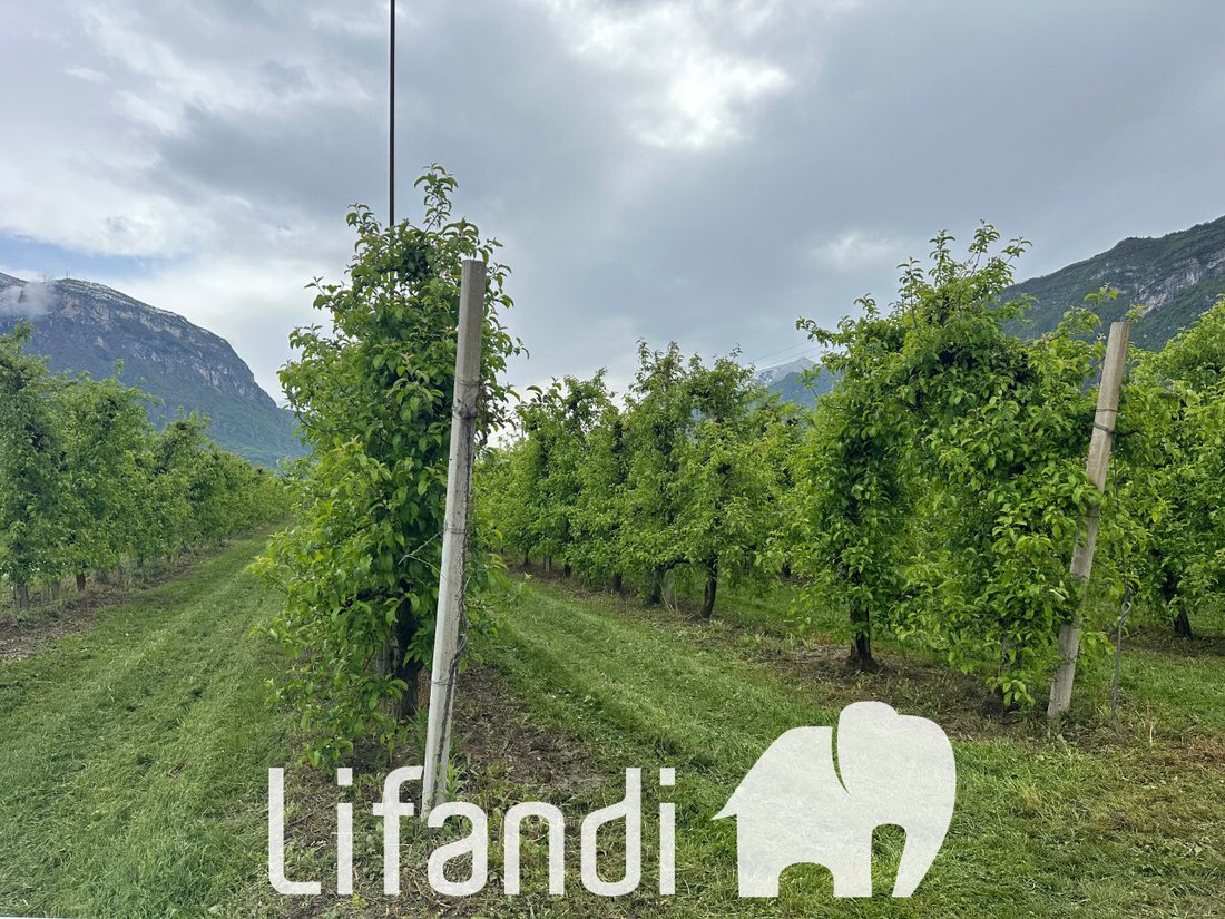 Land in Romagnano - Ravina, Trento, Trentino – Alto Adige/Südtirol 1 - 14147089