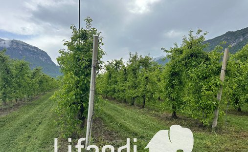 Land in Romagnano - Ravina, Trento, Trentino – Alto Adige/Südtirol 1