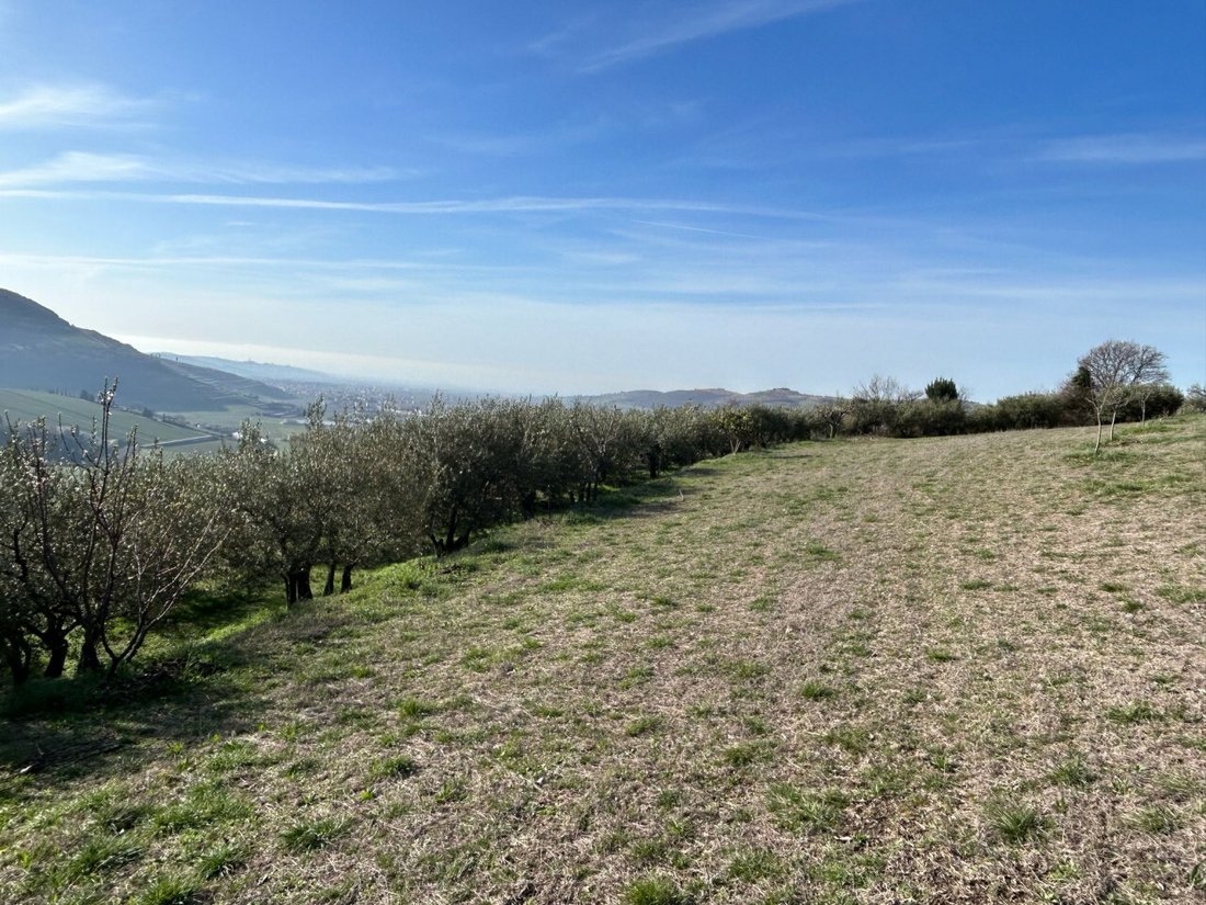 Land in Tregnago, Veneto, Italy 3 - 13918360