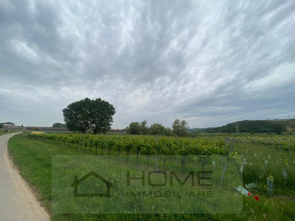 Land in Albettone, Veneto, Italy 3 - 14244095