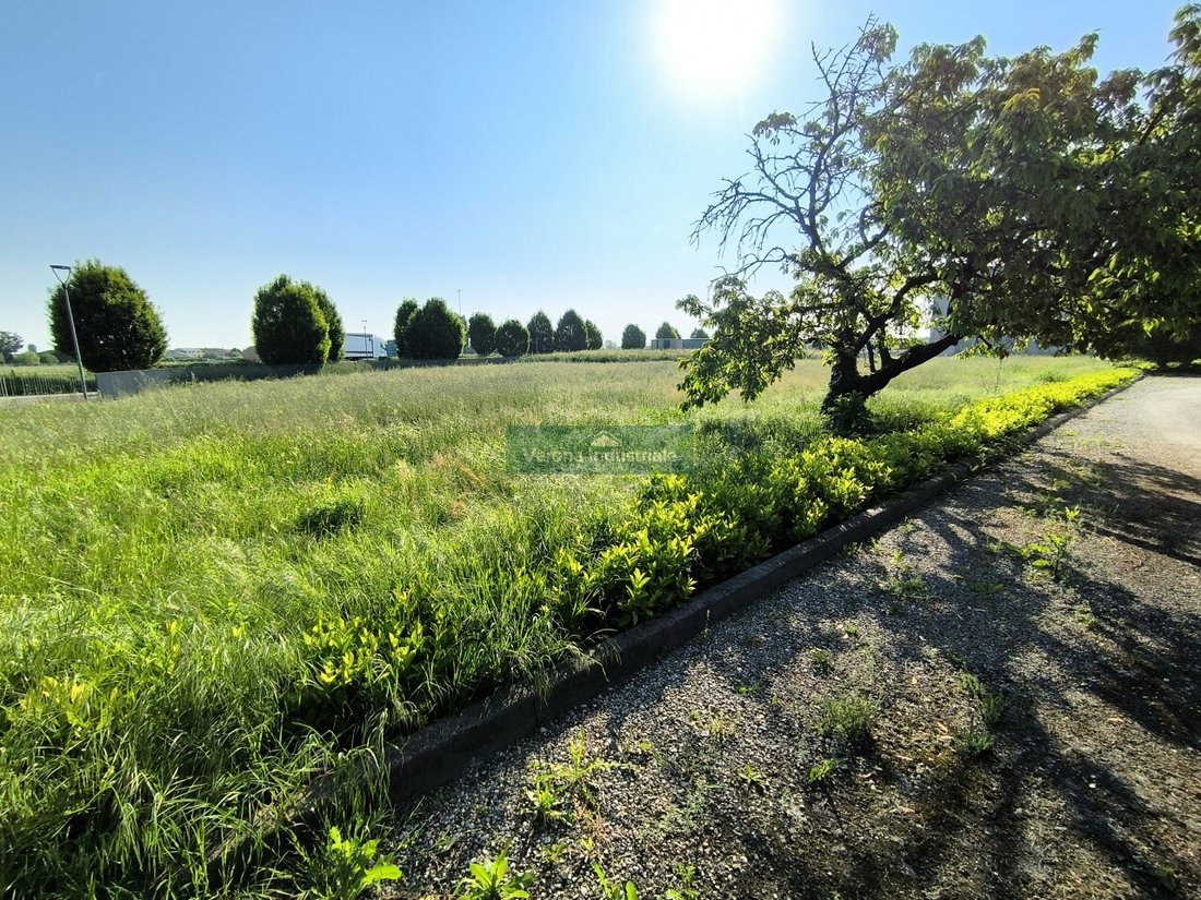 Land in Nogarole Rocca, Veneto, Italy 4 - 15592571