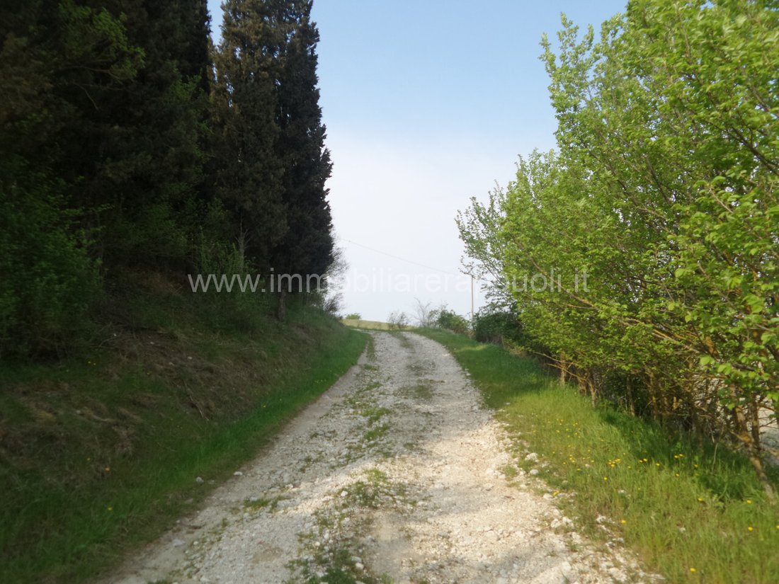 House in Rapolano Terme, Tuscany, Italy 2 - 14448585