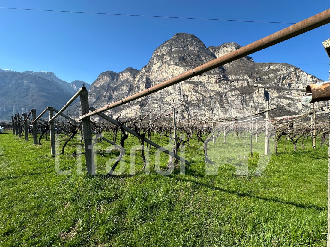Land in Salorno / Salurn an der Weinstraße, Trentino – Alto Adige/Südtirol, Italy 4 - 15402349
