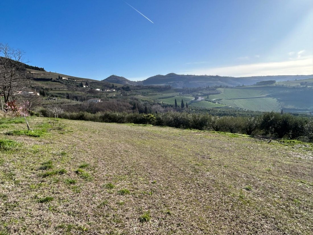 Land in Tregnago, Veneto, Italy 2 - 13918360