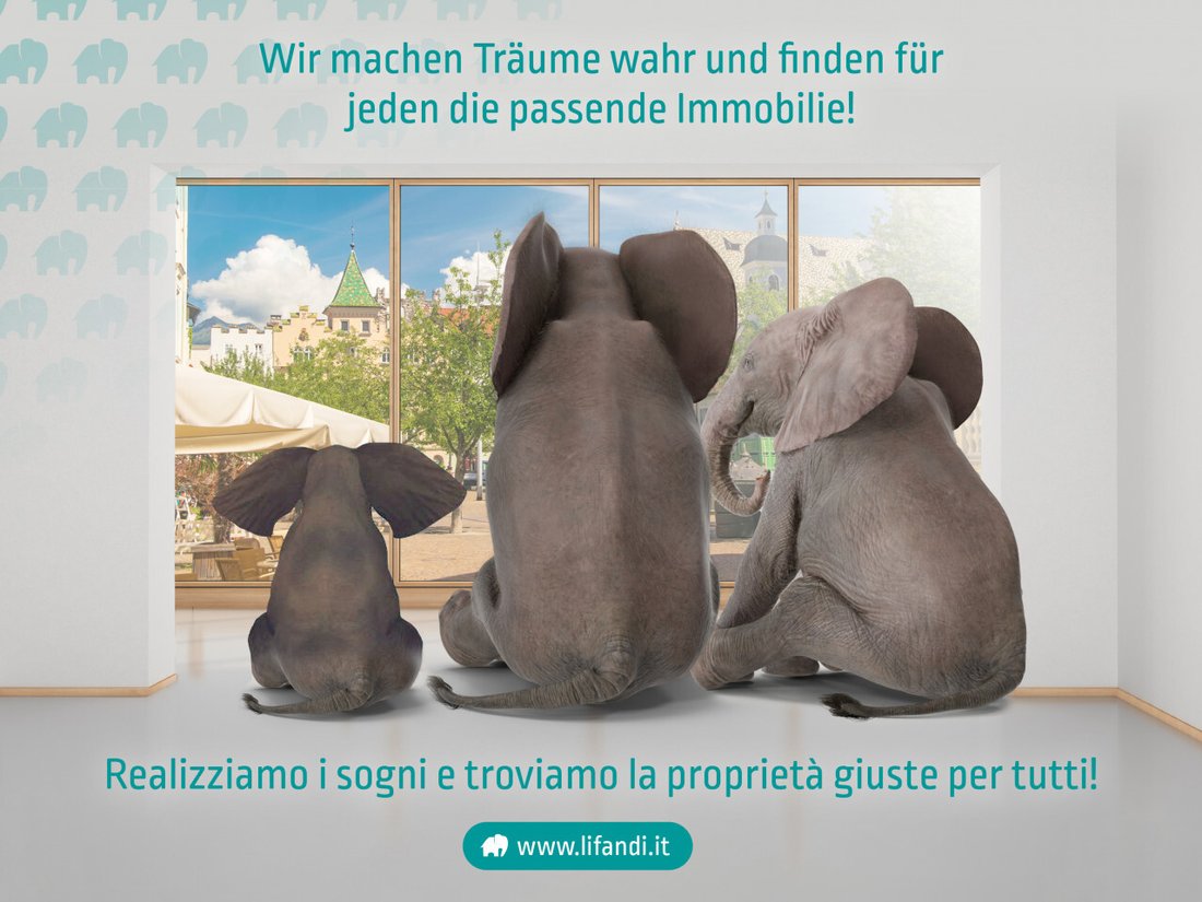 Land in Altrei, Trentino – Alto Adige/Südtirol, Italy 4 - 13773138