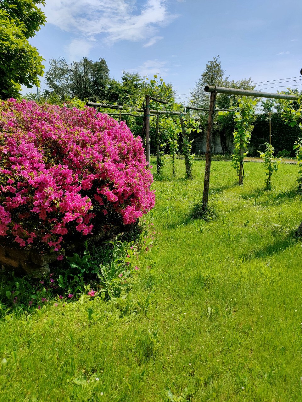 House in Sedegliano, Friuli – Venezia Giulia, Italy 5 - 13046387