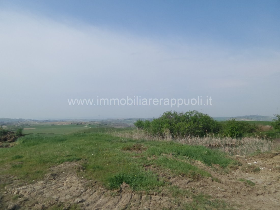 House in Rapolano Terme, Tuscany, Italy 4 - 14448585