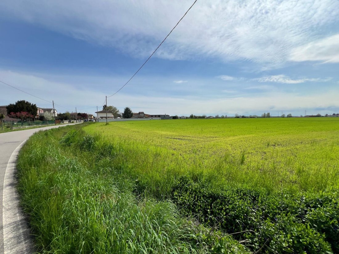 Land in Legnago, Veneto, Italy 3 - 15471966