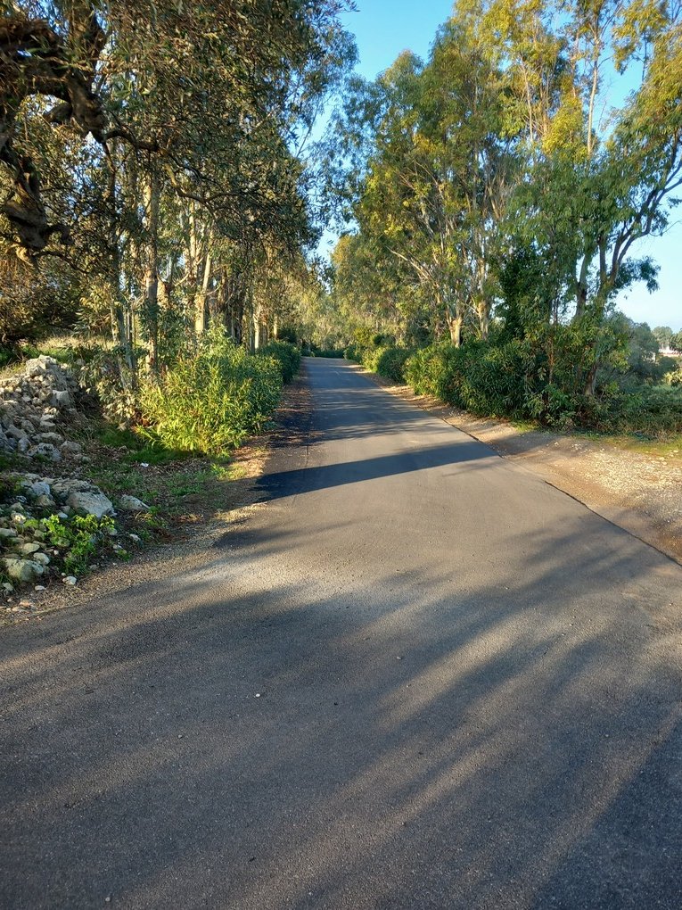 Land in Contrada Guardariello-Giovanni Fasano, Ostuni, Apulia 2 - 12560700
