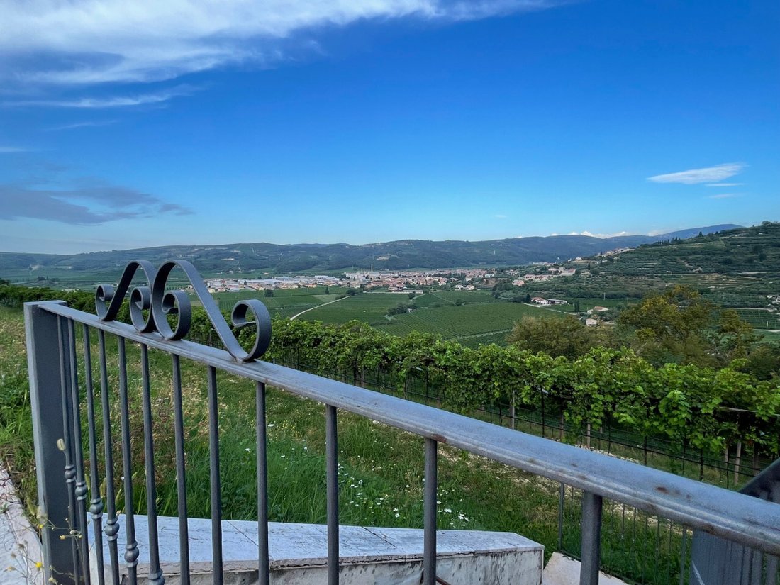 Land in Tregnago, Veneto, Italy 5 - 15968038